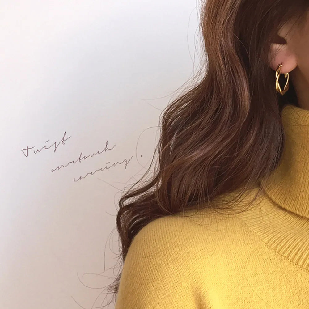 Twisted Hoops Earring