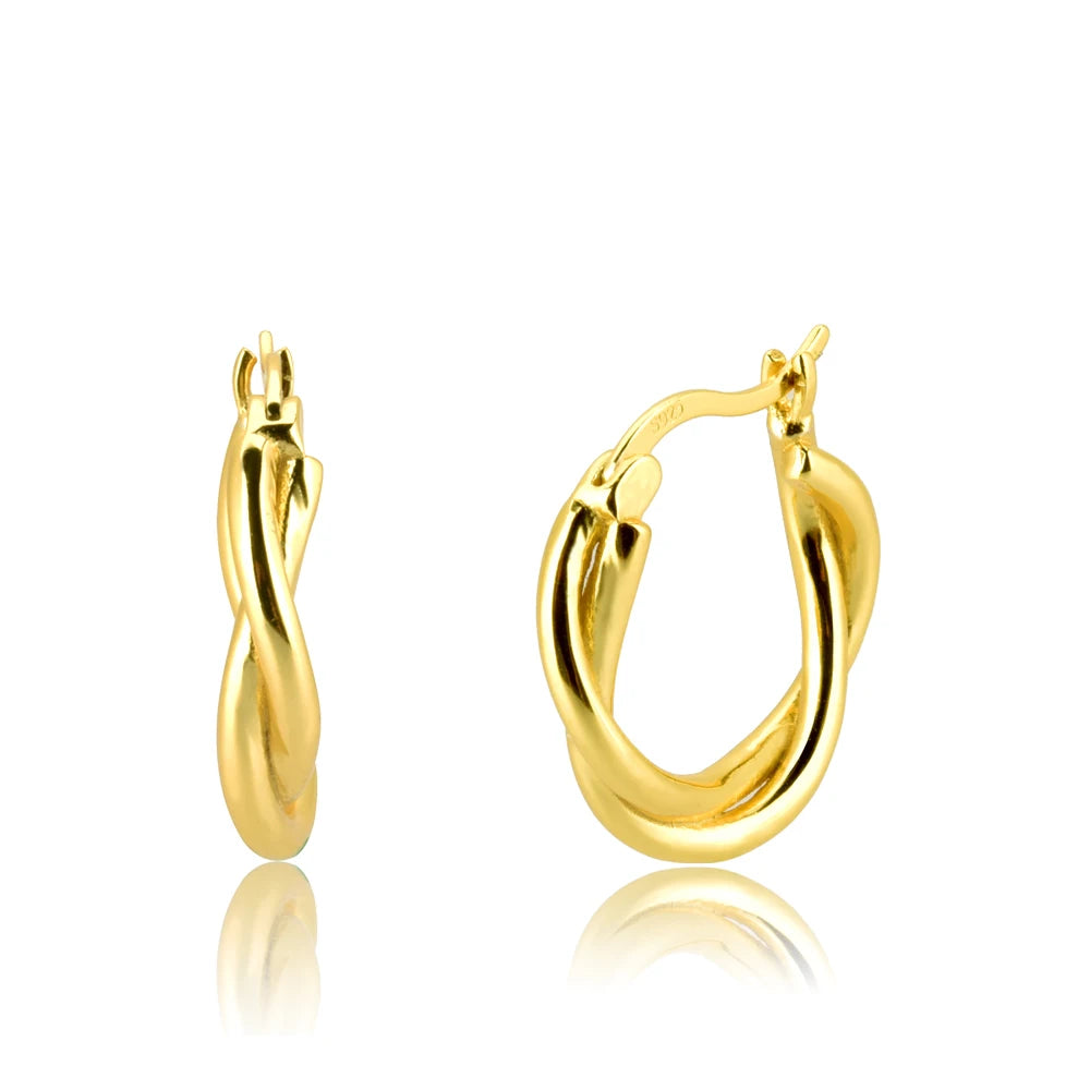Twisted Hoops Earring